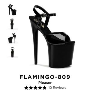 Pleaser Flamingo 809